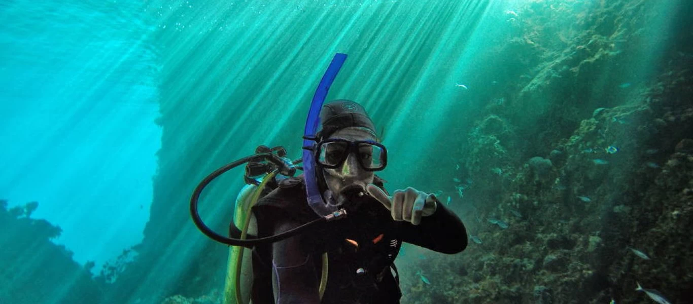 Δύτης βούτηξε γύρω από το βόρειο νησί της Νέας Ζηλανδίας και απαθανάτισε υπέροχα θαλάσσια πλάσματα (βίντεο)